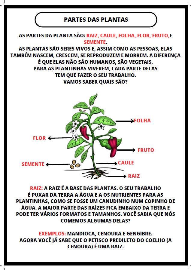atividades de alfabetização